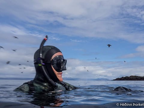 Freedive foodhunt , photo 10