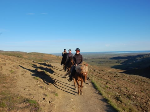 Into The Hot Spring Valley - Horseback ride & bathe (small groups guarantee) - Reykjadalur, photo 4