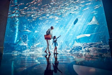 Aquaventure Water Park with Lost Chamber Aquarium Ticket