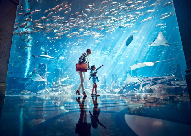 atlantis adventure park
