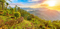 Heeloya Village Tour from Kandy 4