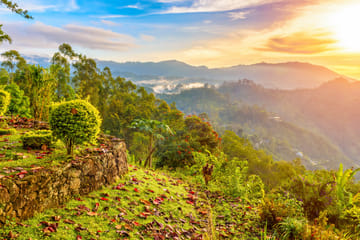 Heeloya Village Tour from Kandy