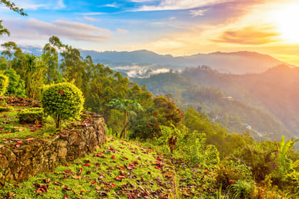 Heeloya Village Tour from Kandy