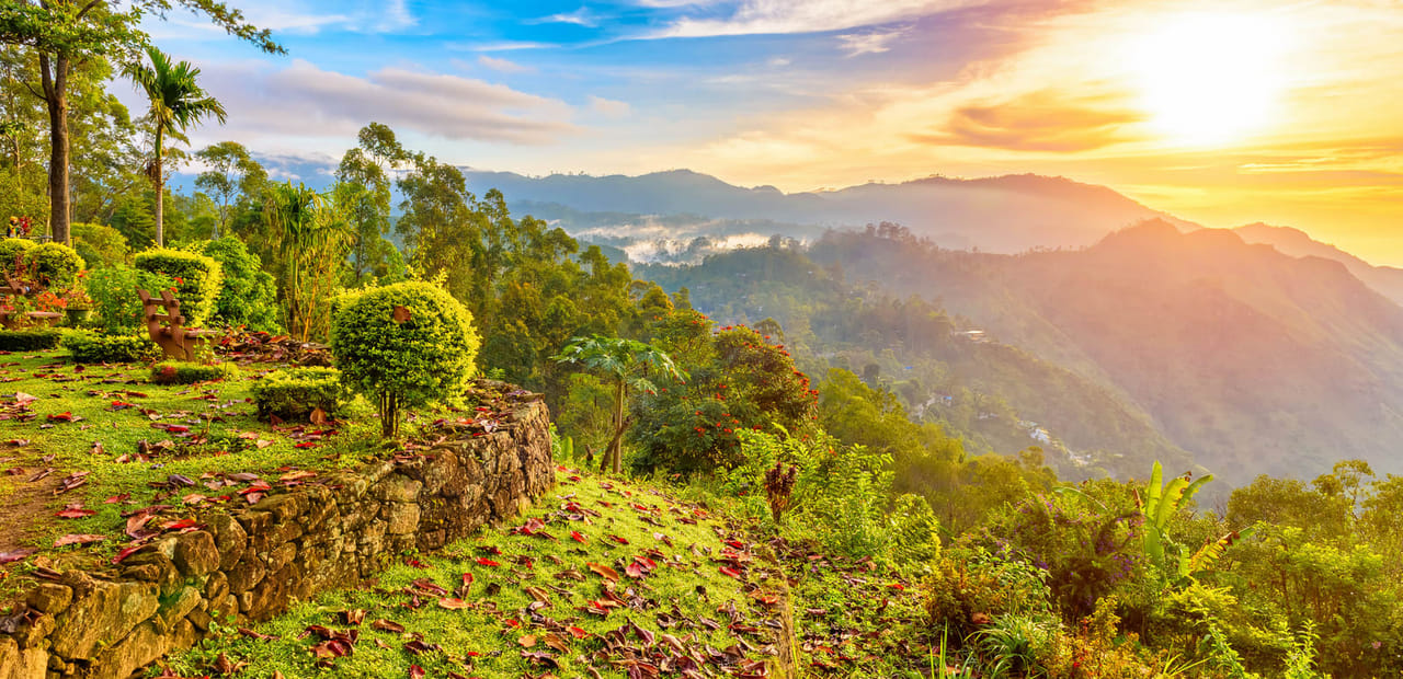 Heeloya Village Tour from Kandy 4