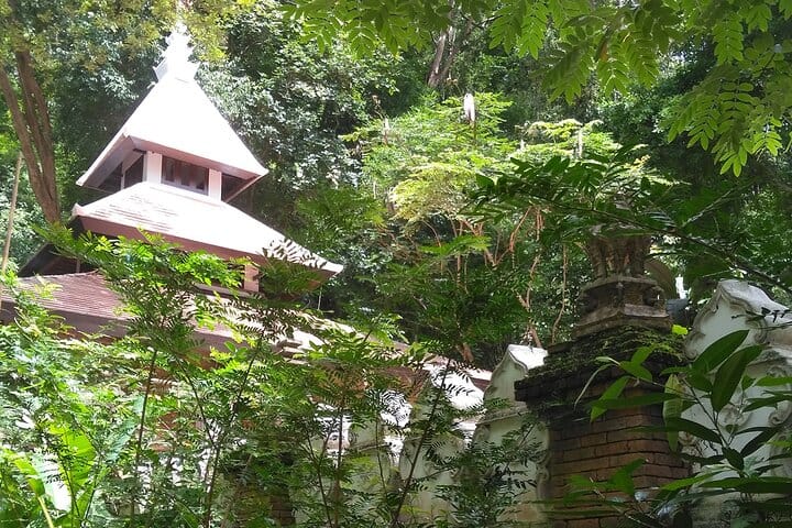 3-Hour Hike round trip Monk Trail to Wat Doi Suthep from Chiang Mai