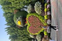 Miracle Garden & Global Village Entrance with Transportation  9