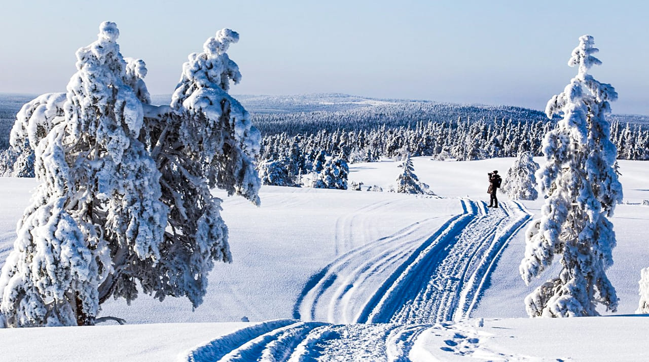 Cross Country Skiing Trip - Saariselkä 10