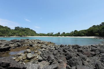 Guided Nature Walk in Manuel Antonio National Park