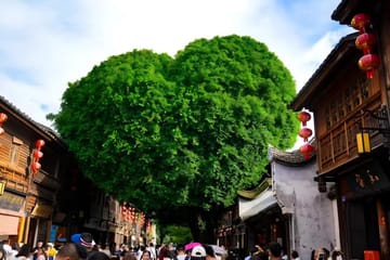 Guided Walking Tour of Fuzhou's Three Lanes and Seven Alleys