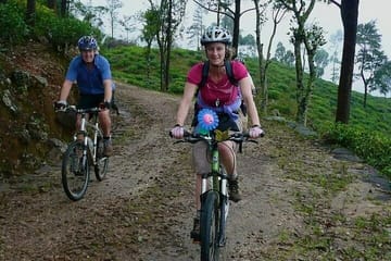 ⁠Mountain biking around Tea Trails in Kandy