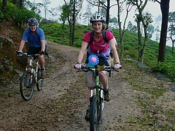 Mountain Biking Tour Through Kandy's Scenic Tea Trails