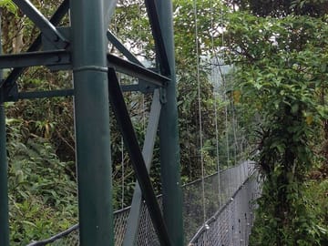 Canopy Zip Line Adventure at Hanging Bridges from San José