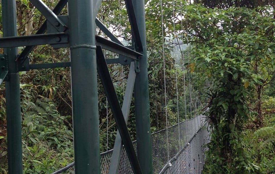 Canopy Zip Line Adventure at Hanging Bridges from San José