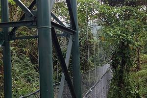 Canopy Tour in The Fabulous Hanging Bridges from San José