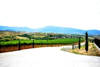 Rupel Winery - Wine Tastings, Tours & Activities 3