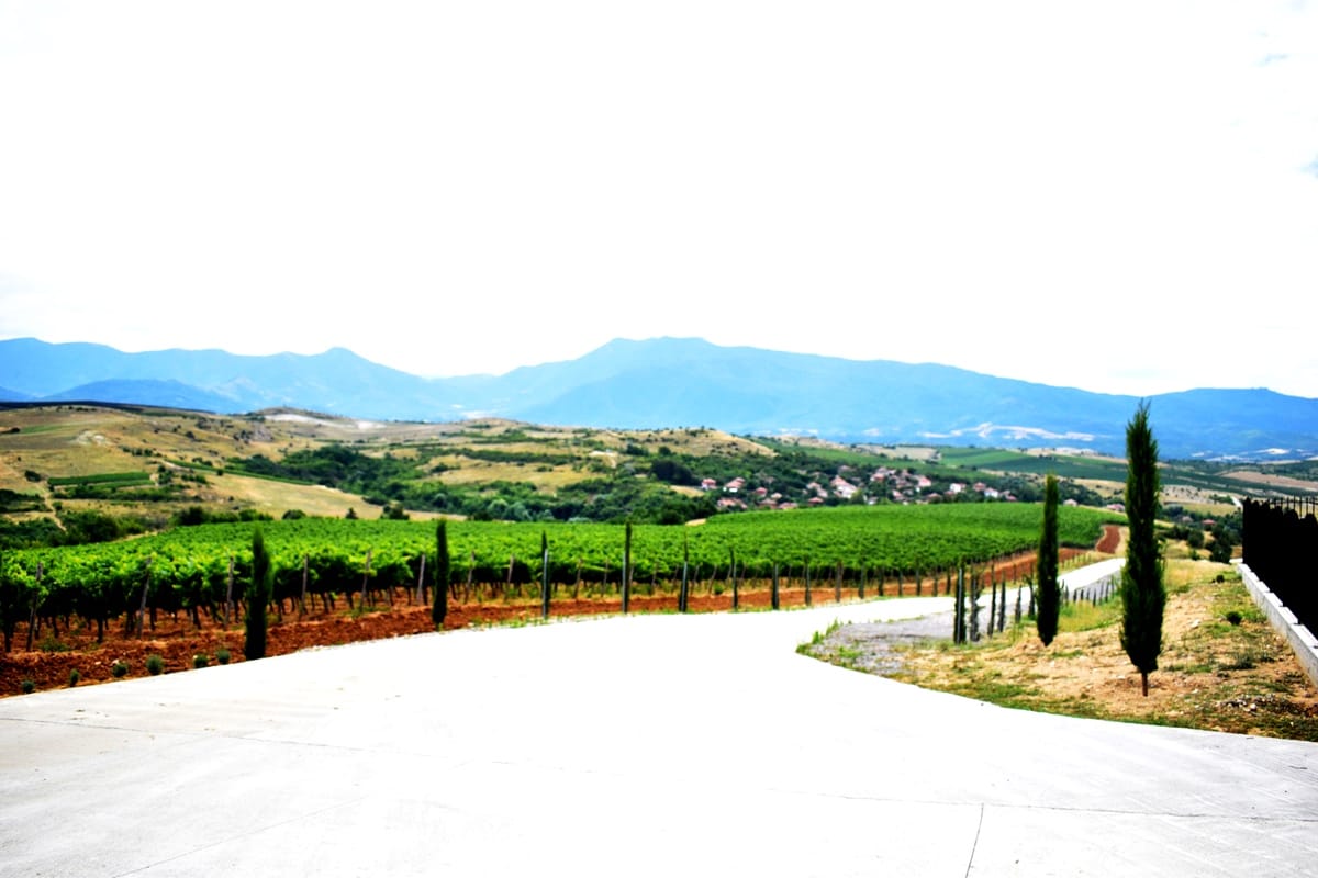 Rupel Winery - Wine Tastings, Tours & Activities 3