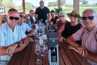 Private Algarve Wine Tour : 2 Wineries, Tastings & Tapas  5
