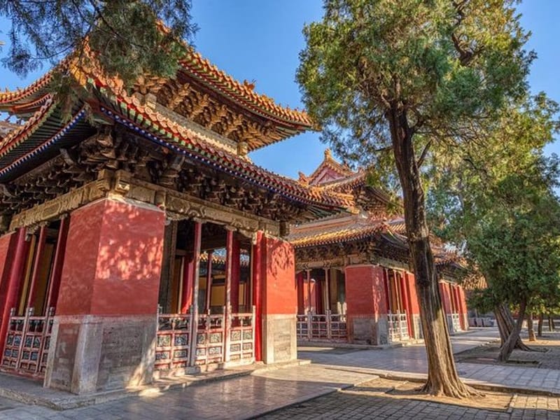 Qufu San Kong Private Day Tour: Confucius Temple, Mansion, Cemetery