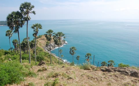 Half-Day Sightseeing Tour of Phuket Island Highlights