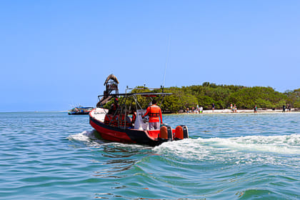 Holbox Island Day Trip with Birdwatching and Beach Lunch