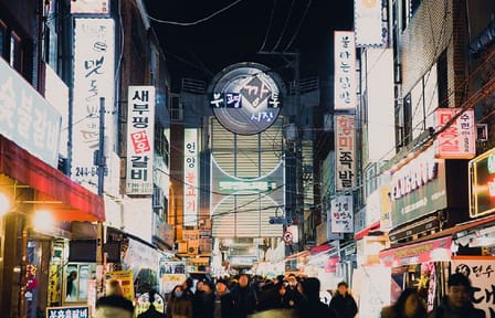 Busan Private Night Tour – City Lights & Food (Up to 7 Guests)