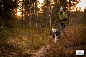 VISIT A HUSKY FARM IN AUTUMN + HIKING WITH THE DOGS (2Km)