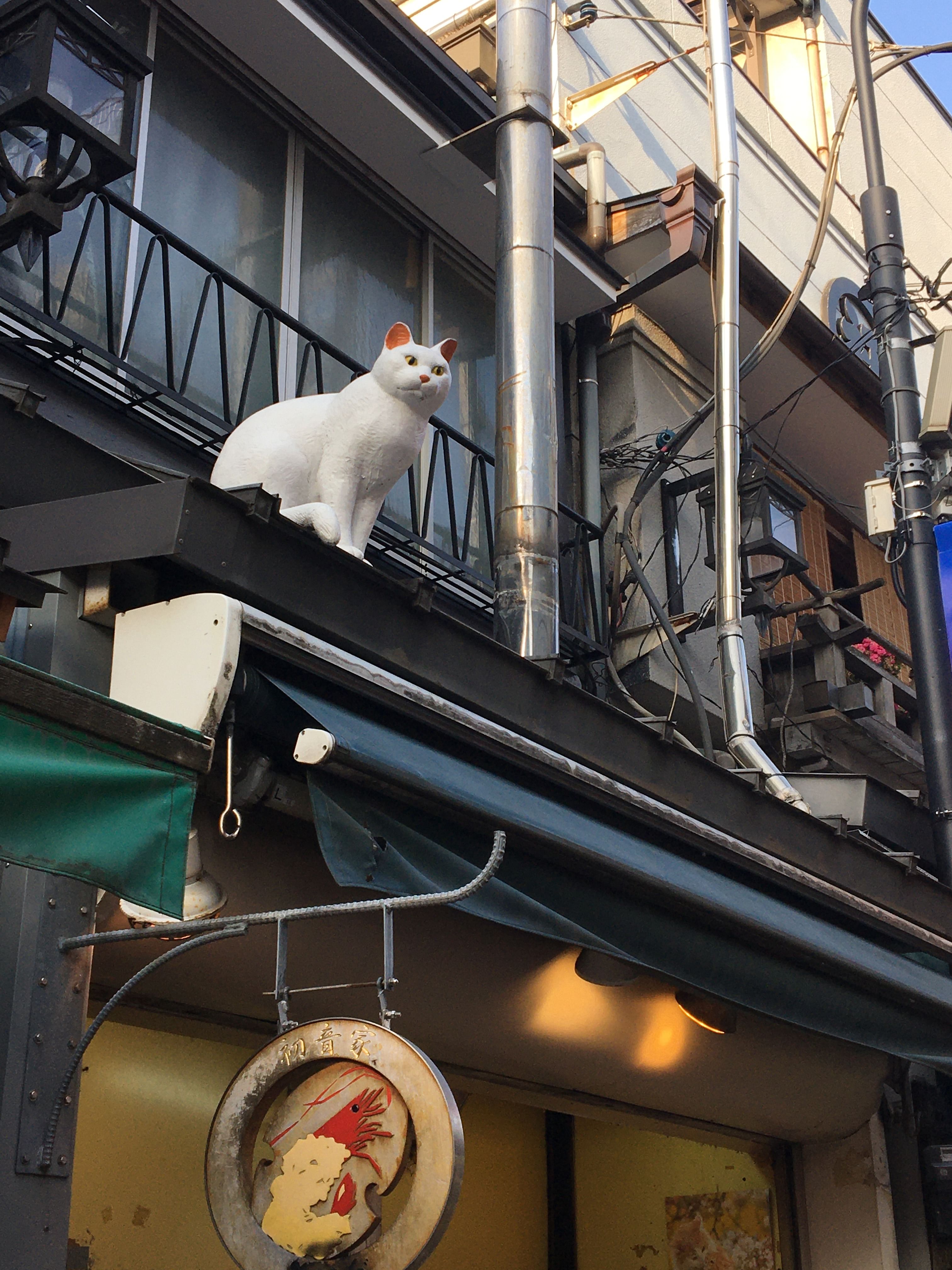 Home Visit in YANAKA with Homely and Local Experience and Tour