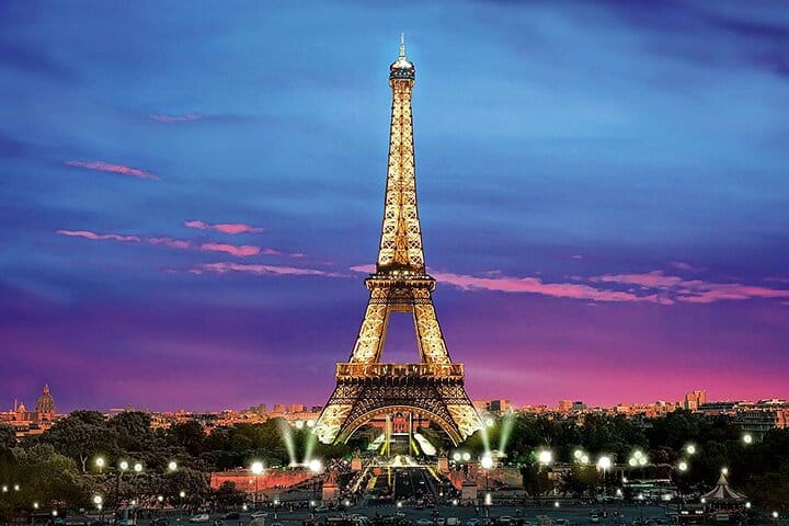 Half-Day Private Tour of Paris with Seine River Cruise 5