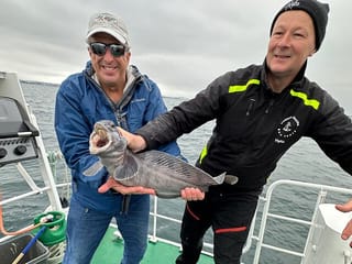 Reykjavik's Finest Catch: Guided Sea Angling Tour for All Levels, photo 13