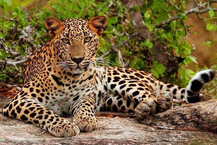 Private Overnight Adventure Tour to Knuckles and Meemure Village with Camping