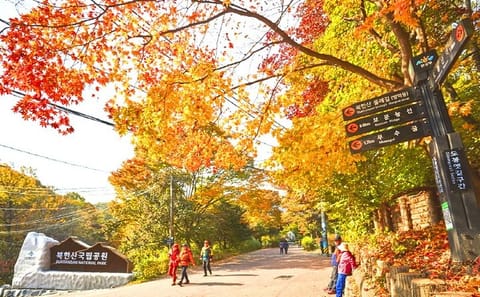 Private Hiking Tour of Bukhansan Mountain with Sauna in Seoul