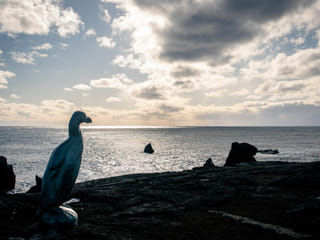 Hike to Volcanic Eruption Sites & Reykjanes Tour, photo 10