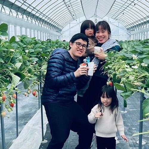 All You Can Eat Strawberry Picking in Izumisano Osaka