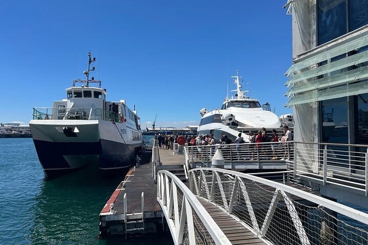Robben Island Half Day Tour With Pre Booked Ticket from Cape Town