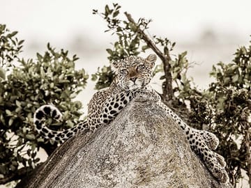 Tanzania Active Family Adventure