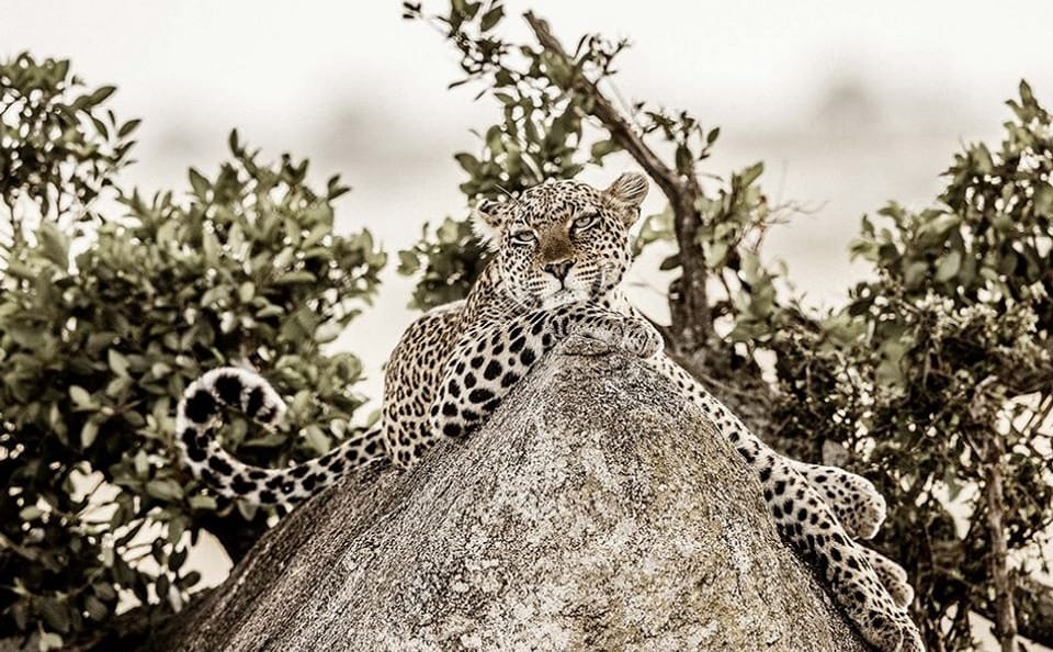 Tanzania Active Family Adventure