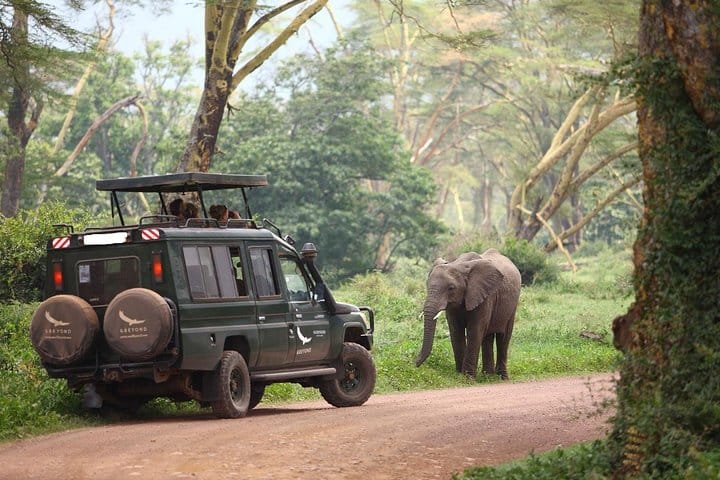 Best of Tanzania Wildlife Safari