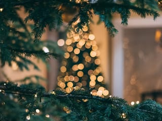 Christmas tree