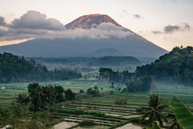 Bali Highlights Customizable Private Day Tour  photo 3