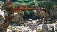 Excursion to Imbros Gorge & Frangokastelo from Heraklion & Surrounding Areas 8