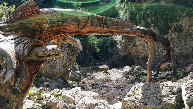 Excursion to Imbros Gorge & Frangokastelo from Heraklion & Surrounding Areas 8