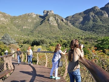 Table Mountain, Kirstenbosch & Constantia Full Day Private Tour