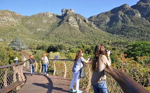 Table Mountain, Kirstenbosch & Constantia Full Day Private Tour