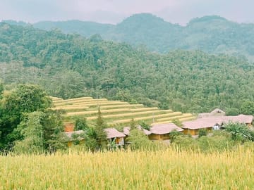 7-Day Private Cultural Tour of Hà Giang and Hanoi, Vietnam