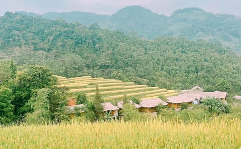 7-Day Private Cultural Tour of Hà Giang and Hanoi, Vietnam