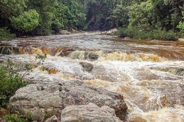 Taman Negara Nature Tour with Lata Berkoh Falls Visit