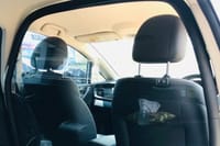 Private 100% Electric Transfer: Bangkok Airport Pickup/Drop-Off 3