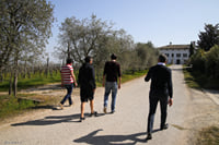 Vineyard Tour and Tasting of Lugana Wines 2