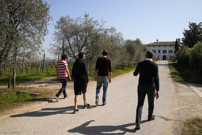 Vineyard Tour and Tasting of Lugana Wines photo 2