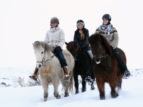 Comfort Ride